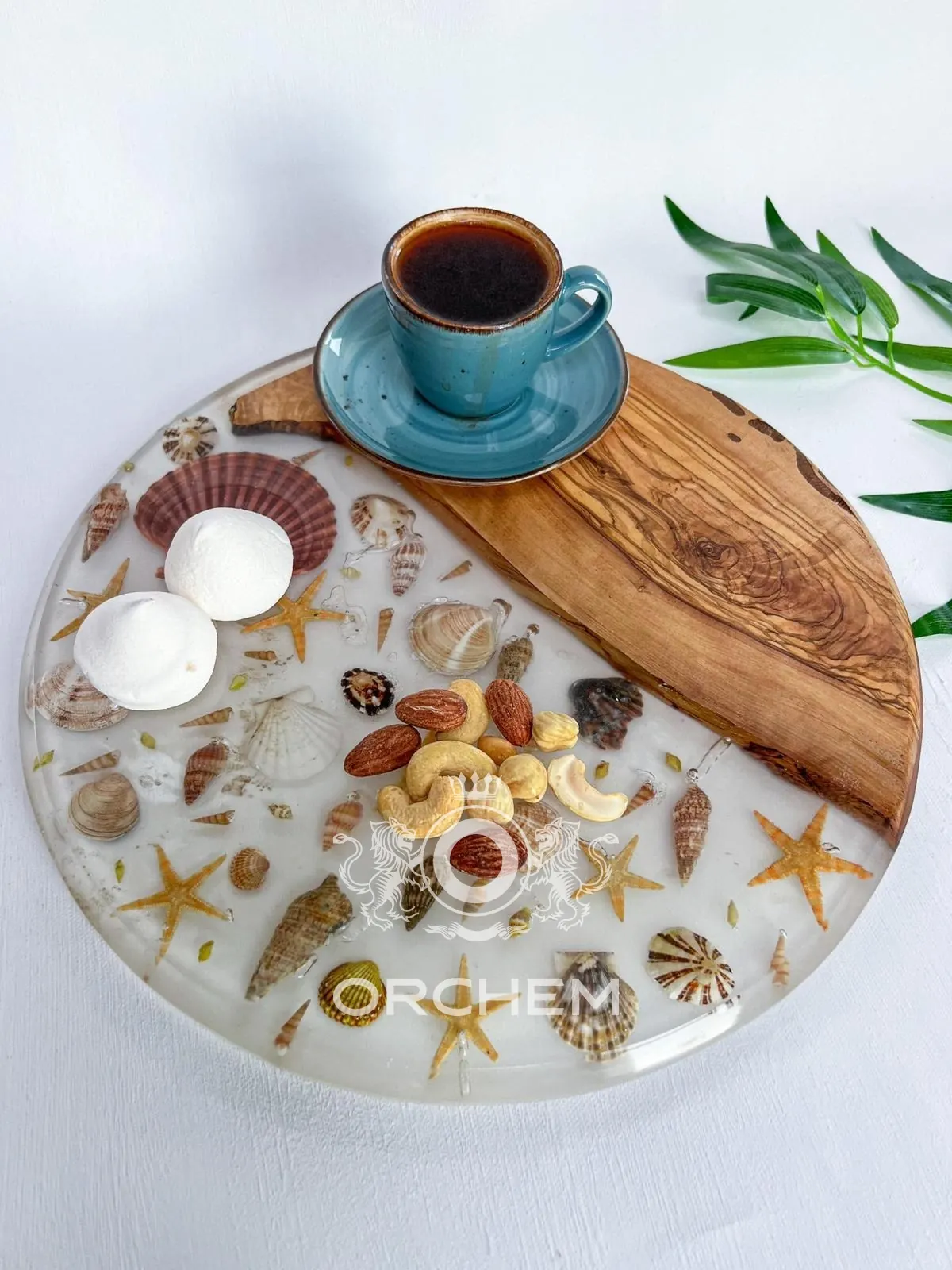 Tablett aus klarem Epoxid und Olivenholz mit Muscheln